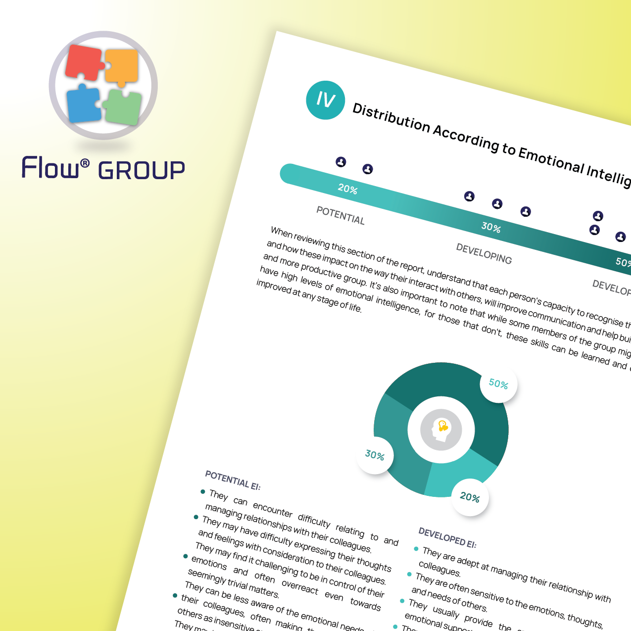 DISC Flow® GROUP